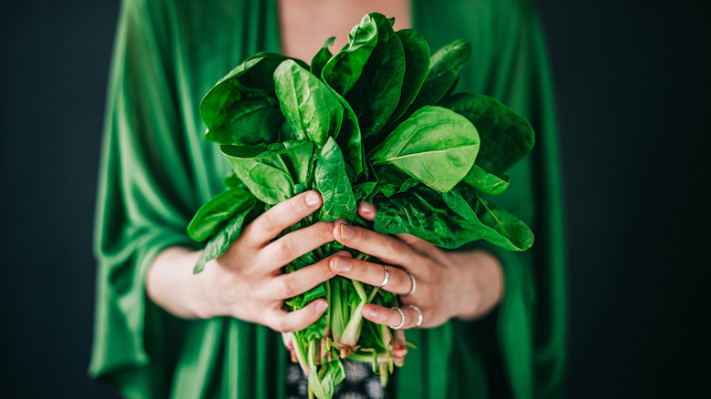 woman's hands holding a bunch of spinach