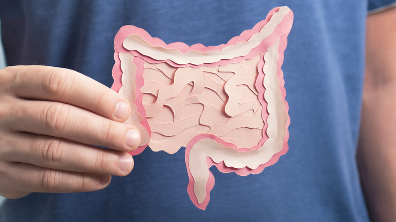 Man holding paper symbolizing a digestive tract