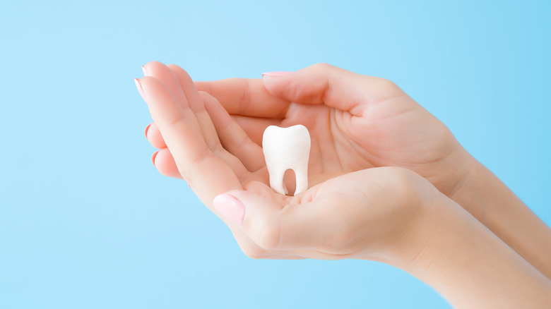 hand holding a plastic tooth