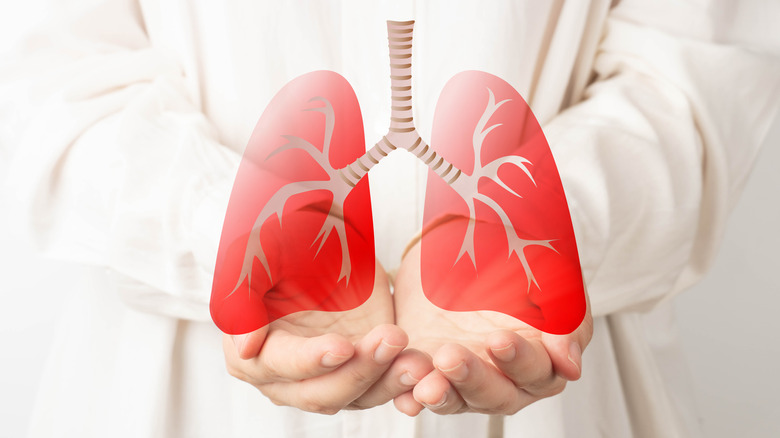 doctor's hands supporting lung illustration