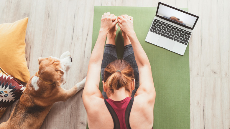 woman doing yoga on mat with dog and laptop