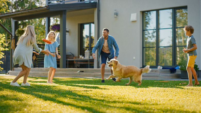 Family playing frisbee outdoors with dog