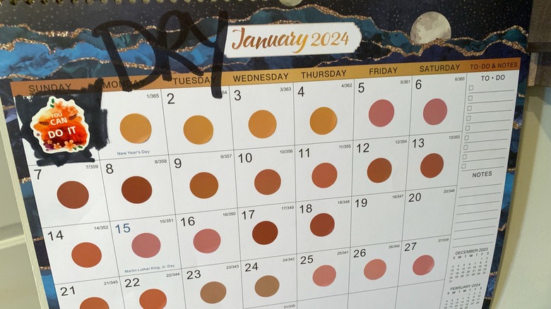 calendar of the month of January