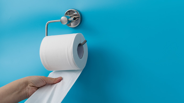 hand pulling toilet paper