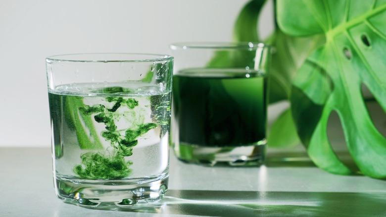 green drink cleanse detox