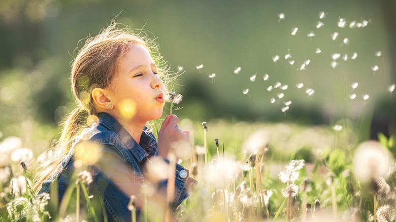 little girl outside blowing dandelion seeds