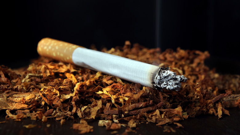 used cigarette sitting on tobacco leaves