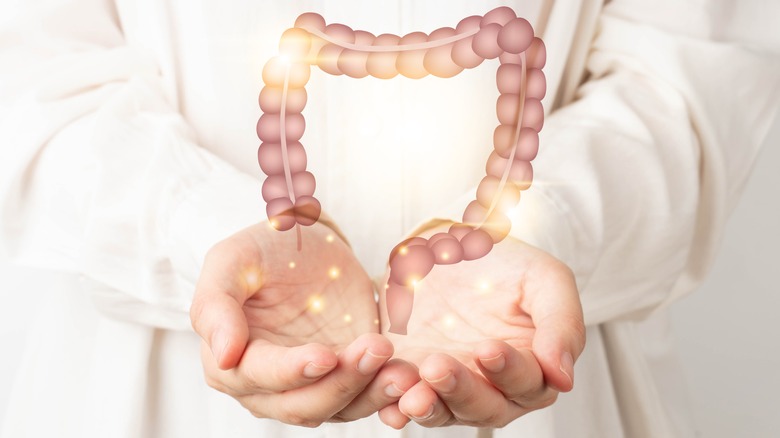 doctor holding a digital model of gi tract  