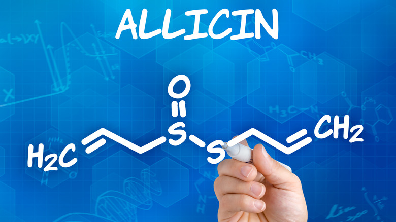 Allicin chemical formula concept
