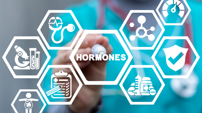 medical concept of hormones