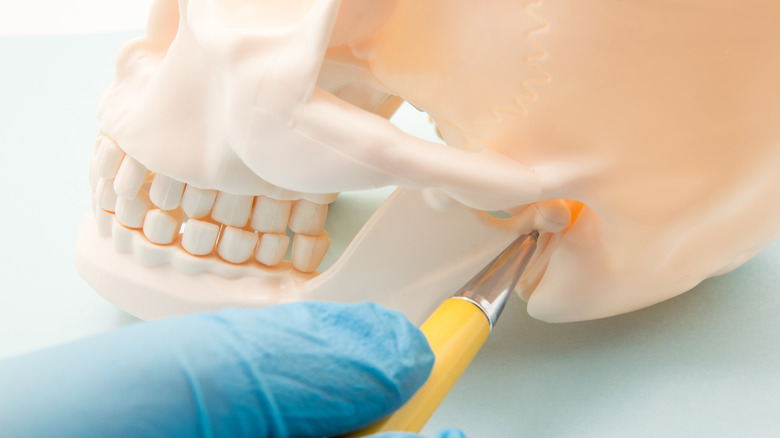 Temporomandibular joints