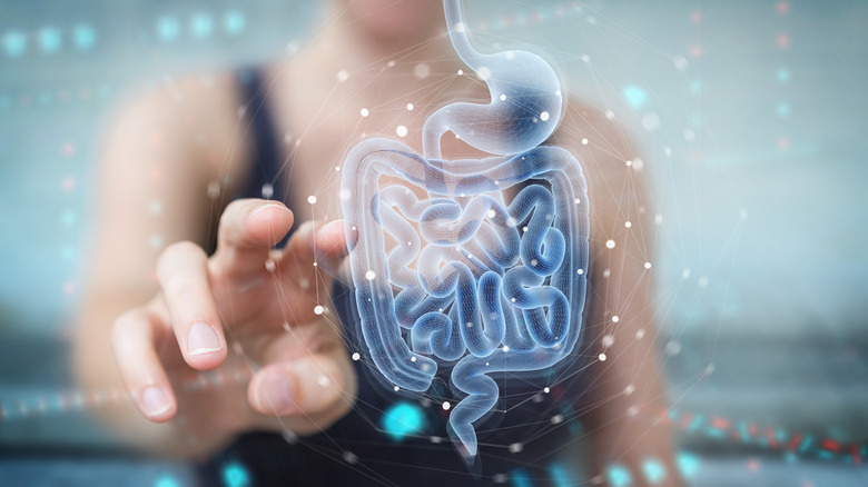 Woman pointing at hologram of GI tract