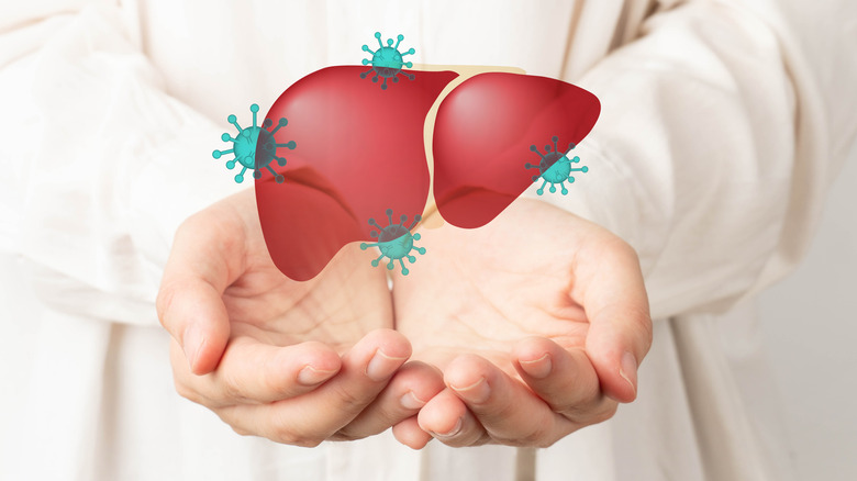 virtual liver with hepatitis in hands 