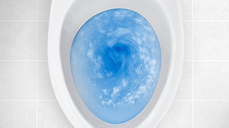 top view of a toilet bowl