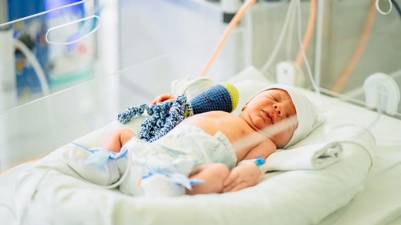 Newborn in the NICU