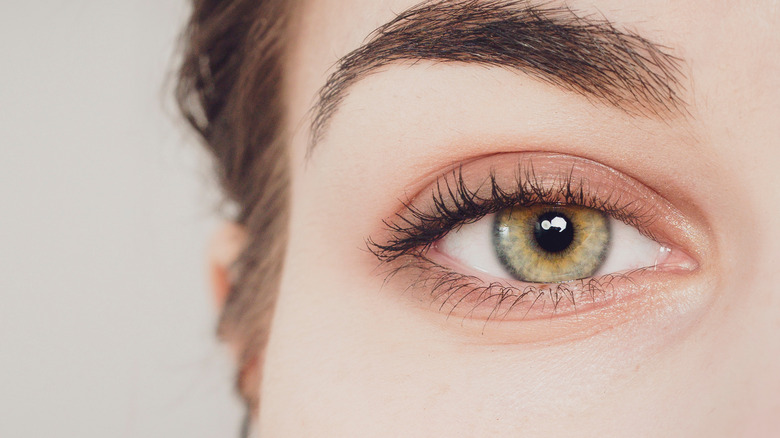 close-up of a green eye