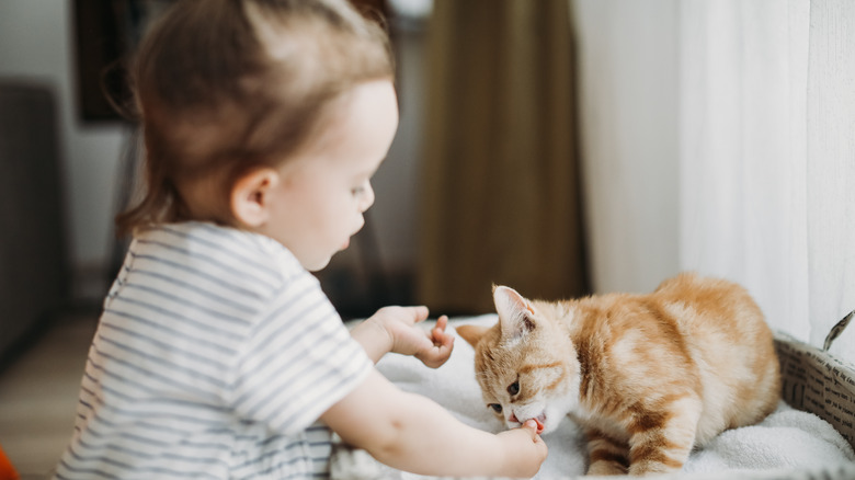 Child playing with cat