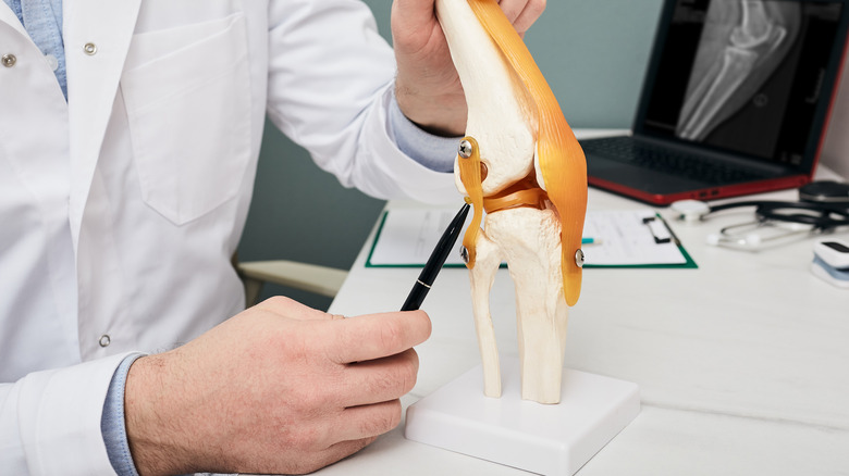 a doctor pointing to the knee joint on a plastic model 