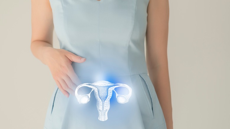 Woman with visualization of uterus