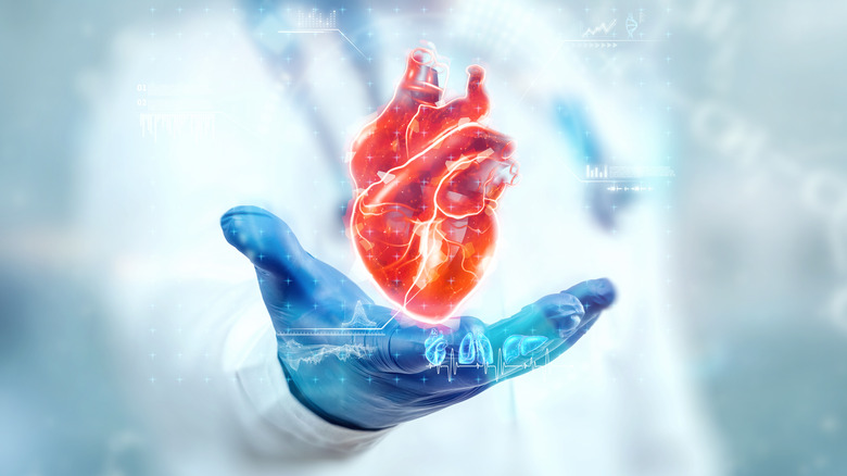 Doctor holding heart image