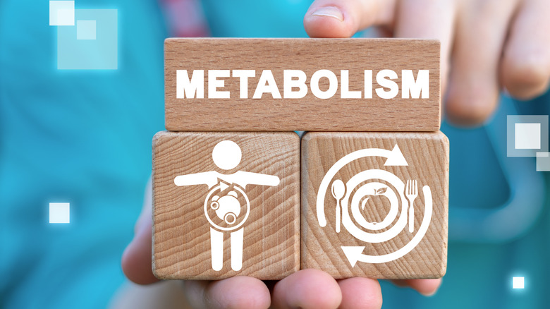 a person holding a set of blocks with the word metabolism