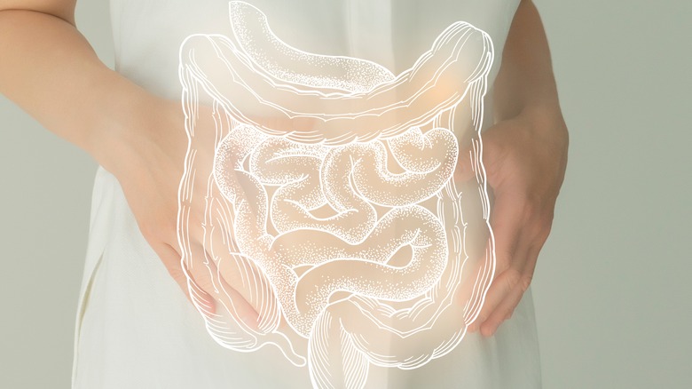 woman with an illustration of intestines