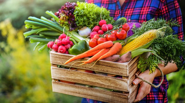 woman carrying crate of fresh vegetables