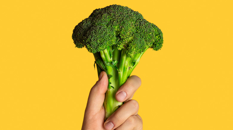 hand holding broccoli with yellow background