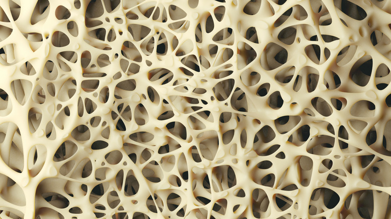 closeup of healthy bone structure