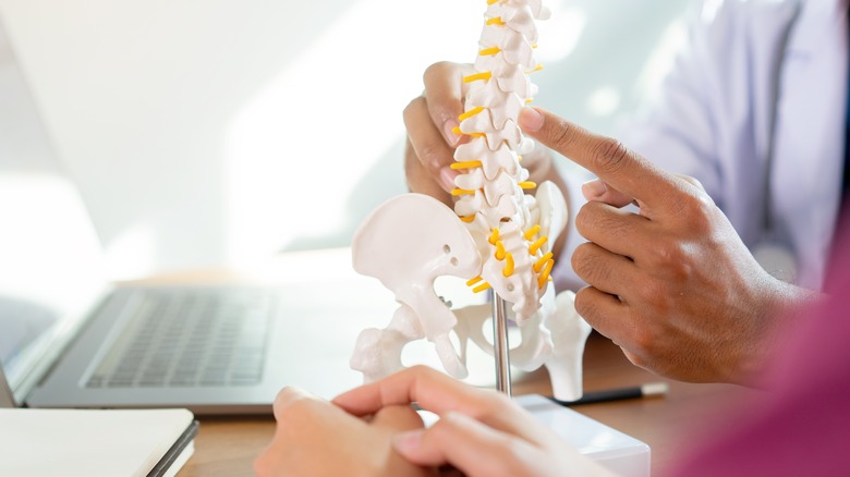 doctor showing spine model to patient