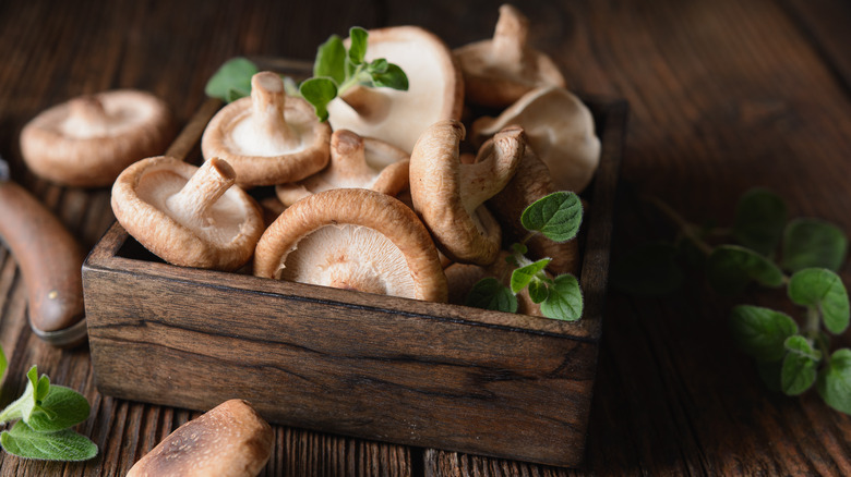 Box of shiitake mushrooms