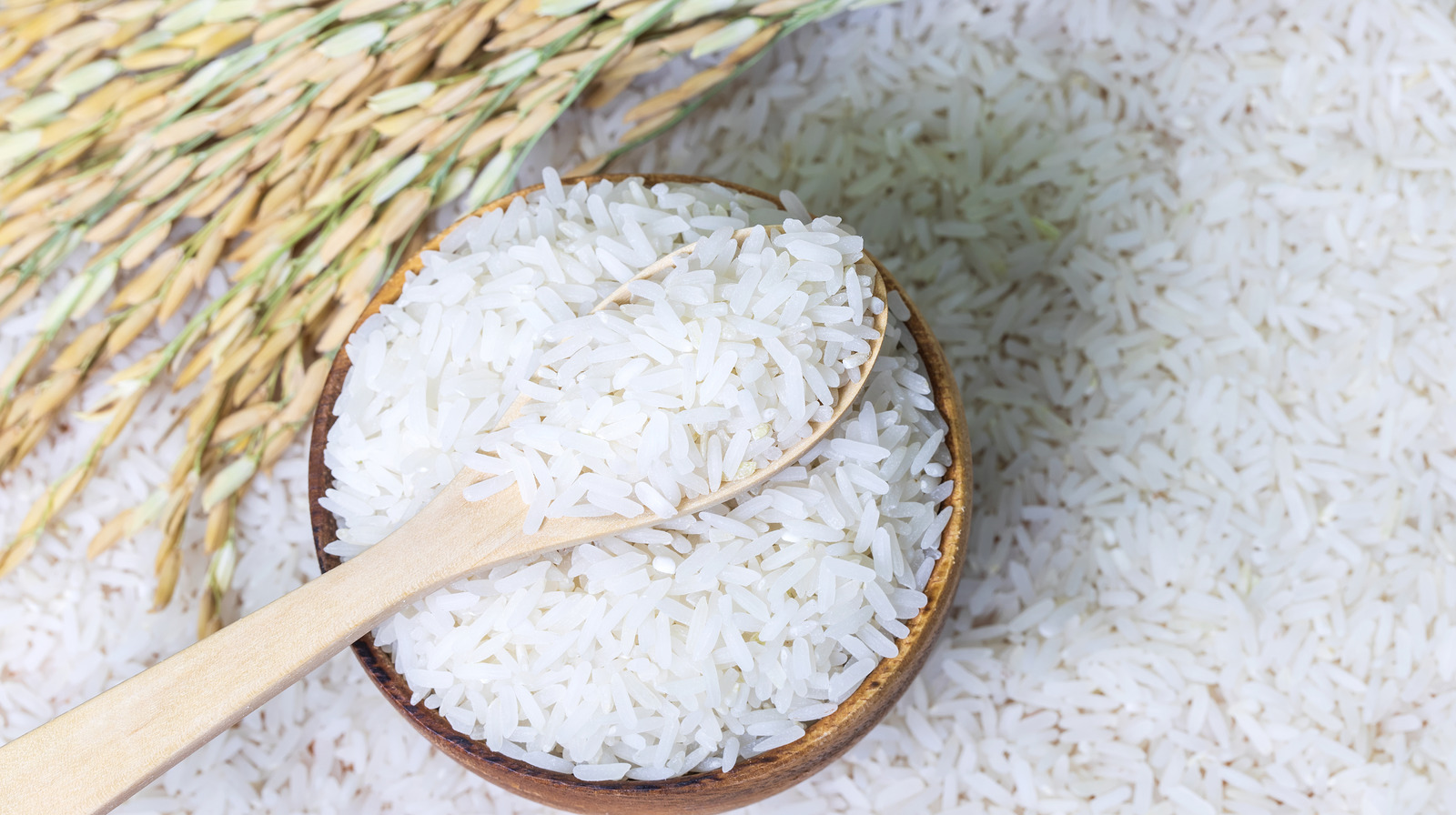 what-happens-to-your-body-when-you-eat-rice-every-day