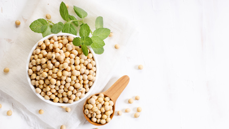 soybeans in a ceramic white bowl on white background