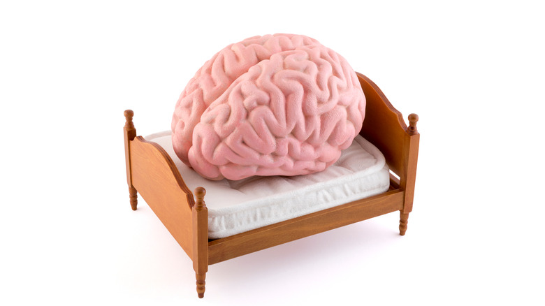 brain sleeping bed