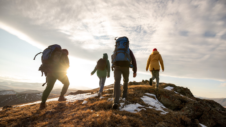 Group of hikers with backpacks