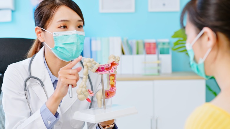 Doctor showing colon model to patient