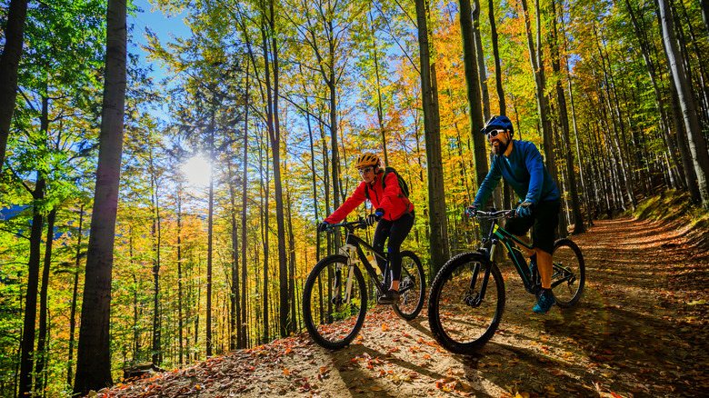 couple mountain biking through forest