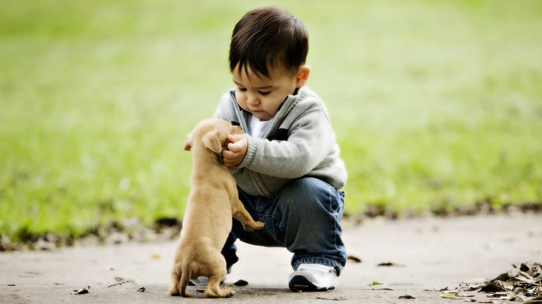 little boy petting a puppy