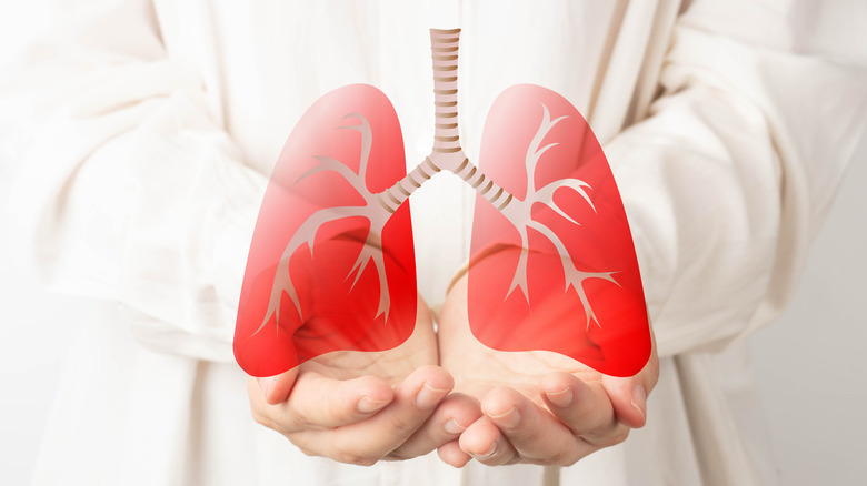 close up of two hands holding an image of a pair of lungs