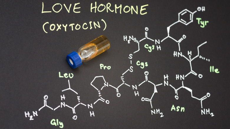 Vial on top of an illustration of the chemical makeup of oxytocin