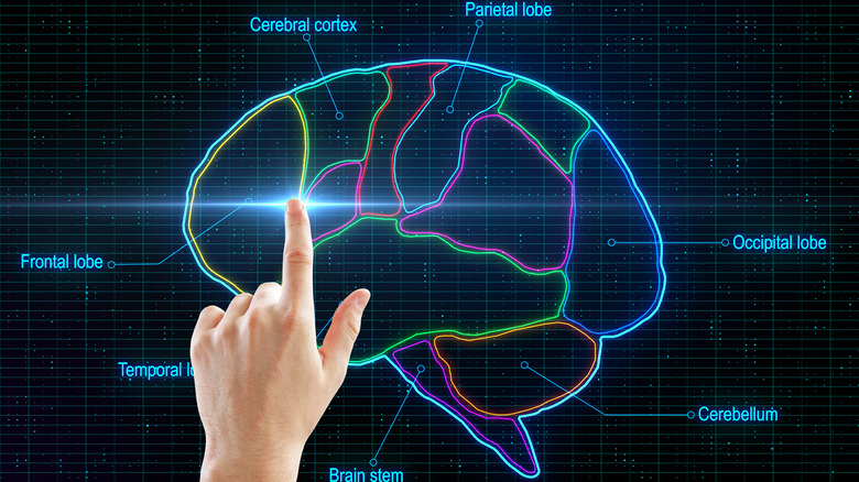 Hand pointing to neon brain image 