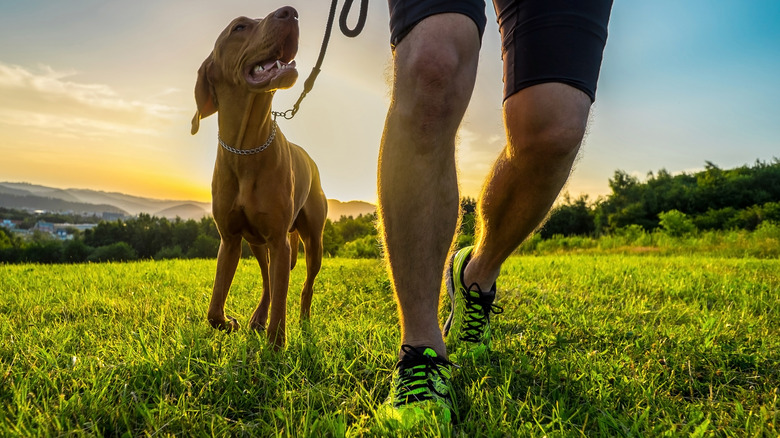 person walking with dog