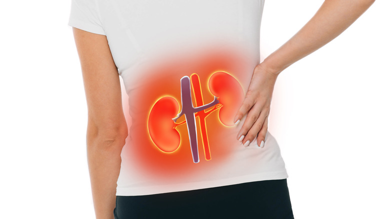 Lower back kidney pain