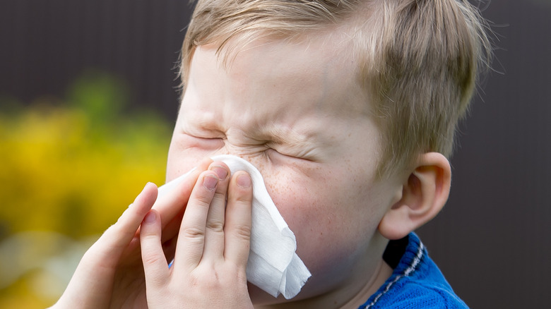 Boy blowing nose with tissue