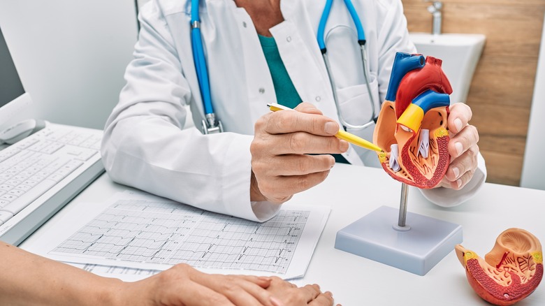 Doctor pointing at heart model