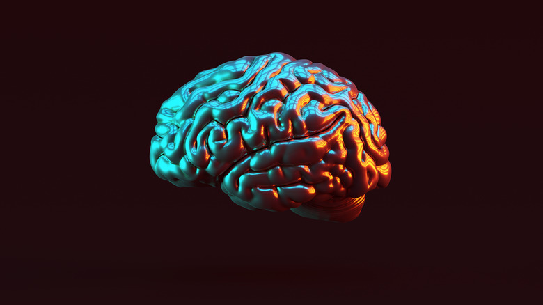 Human brain silver replica