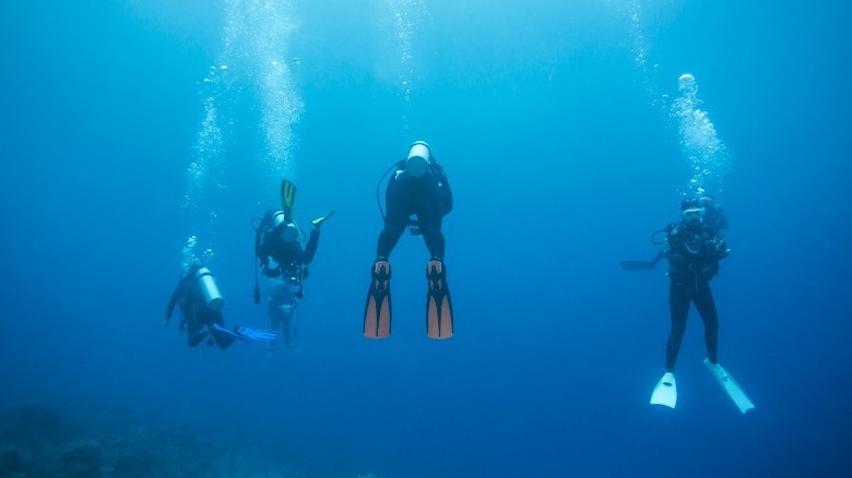 Divers take a decompression stop 