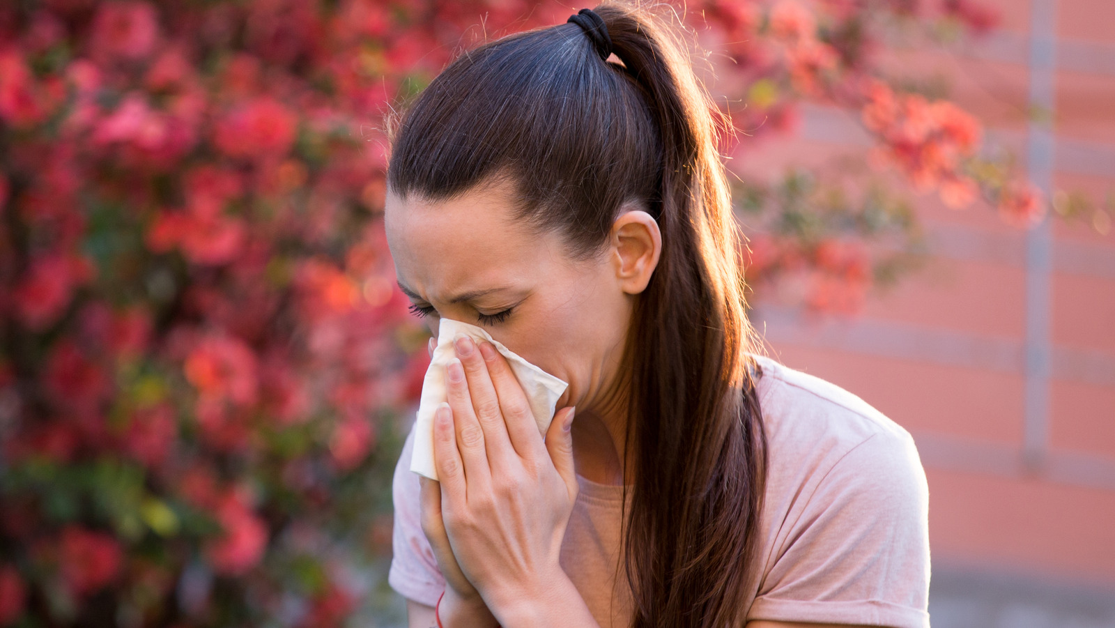 what-is-hay-fever