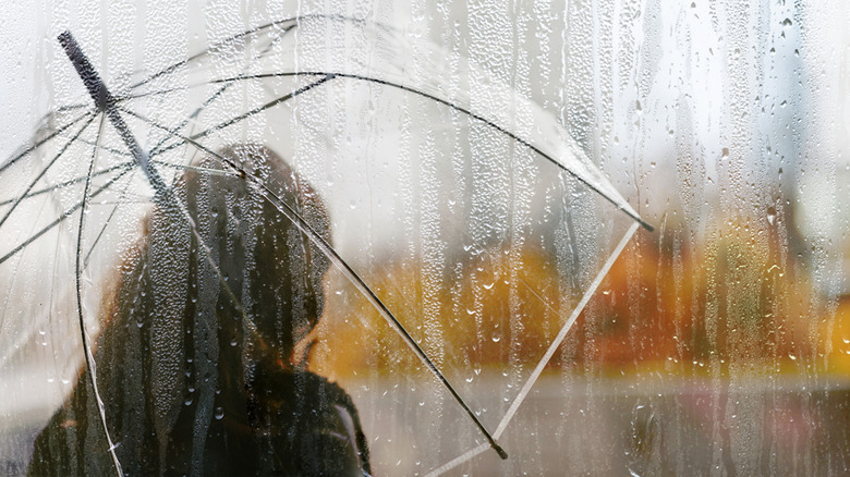 A woman standing under a clear umbrella during a rainstorm