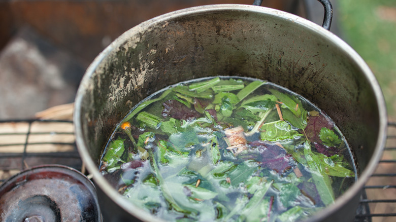 Ayahuasca brewing in a pot 